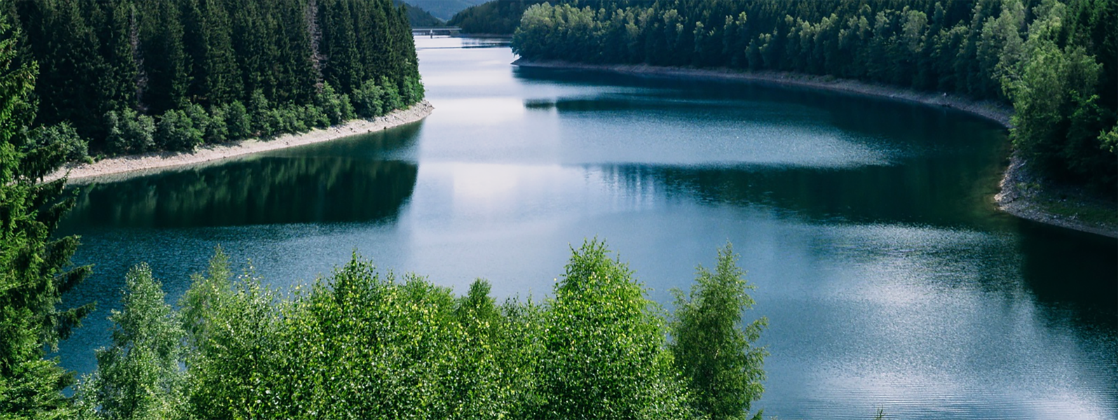 Environmental Responsibility (E)