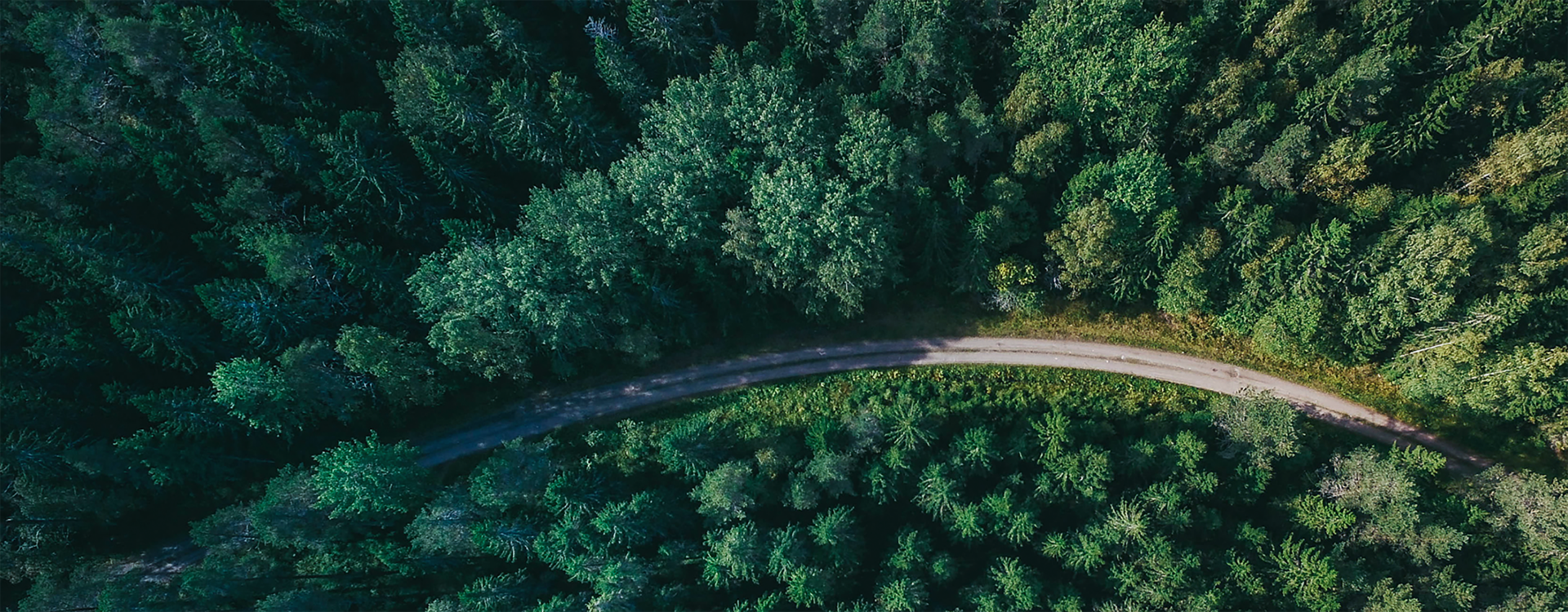 Sustainable Development